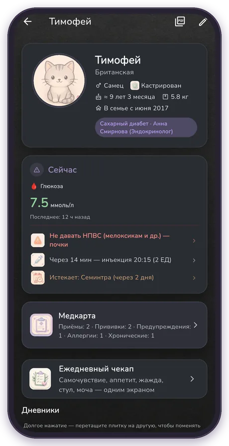 Тёмная тема — питомец